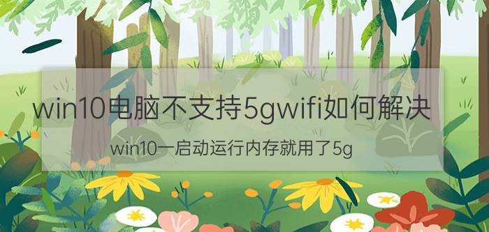 win10电脑不支持5gwifi如何解决 win10一启动运行内存就用了5g？